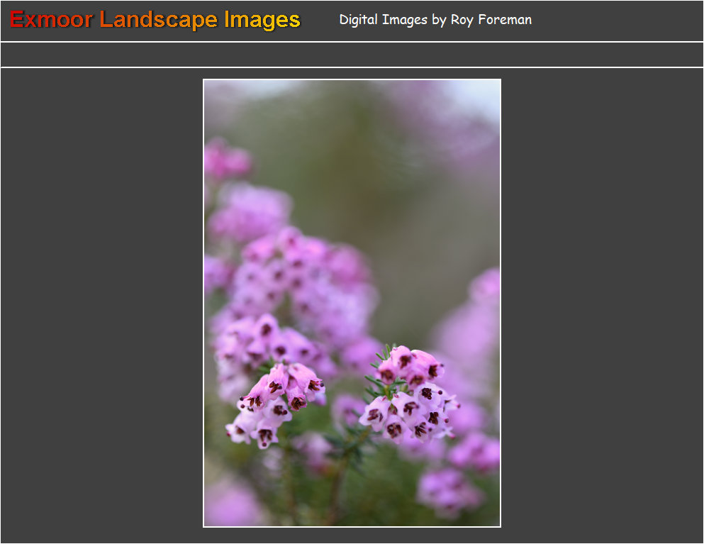plants2085002.jpg